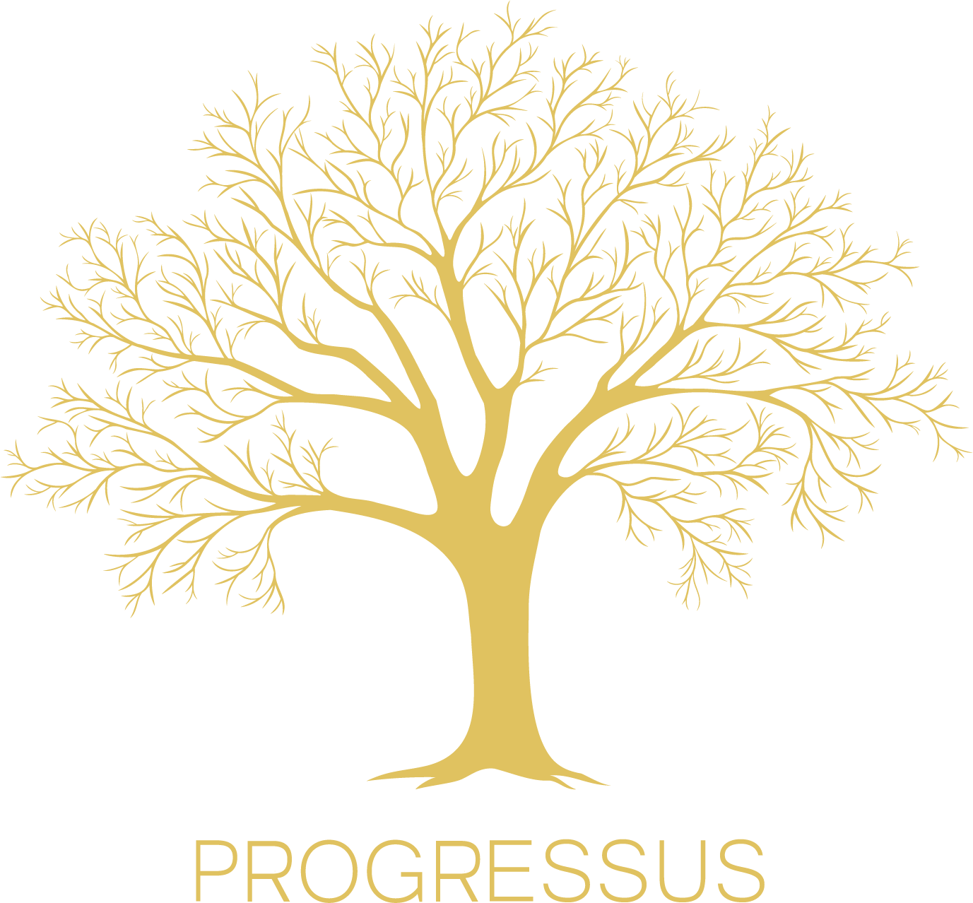 PROGRESSUS